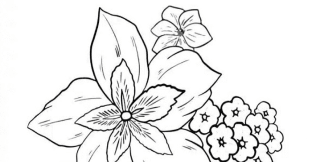 onde encontrar desenhos para colorir com tinta