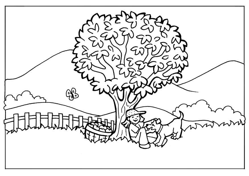 desenhos de paisagens naturais para pintar