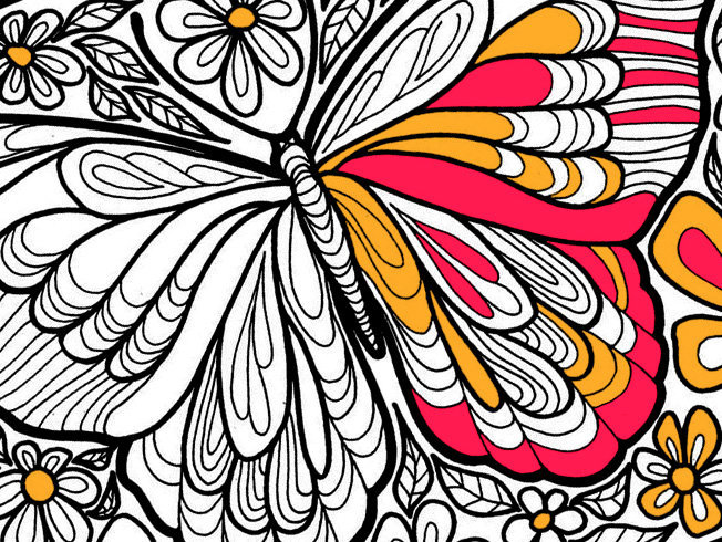 desenho de borboleta para adultos