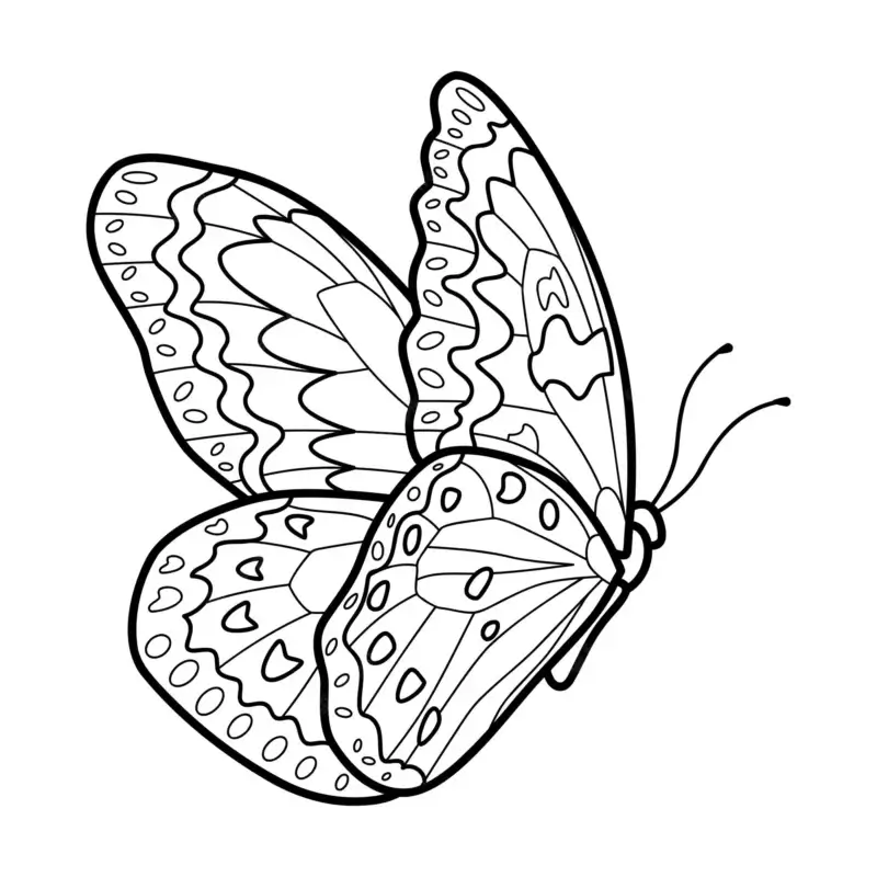 desenho de borboleta com flores