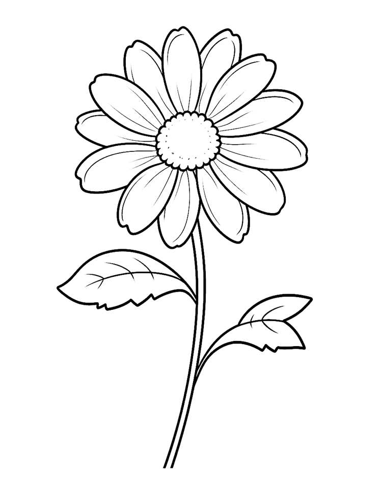 flores para colorir online