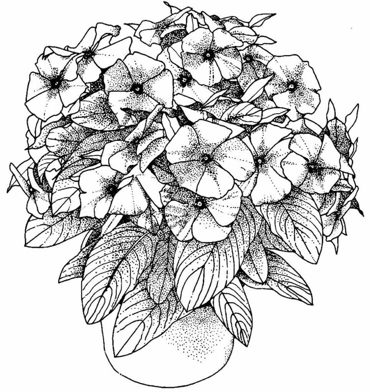 flores para colorir no papel