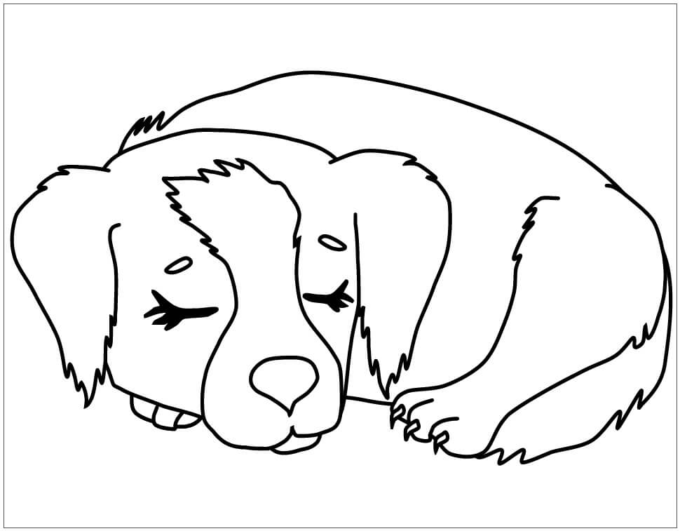 desenho de cachorro fácil