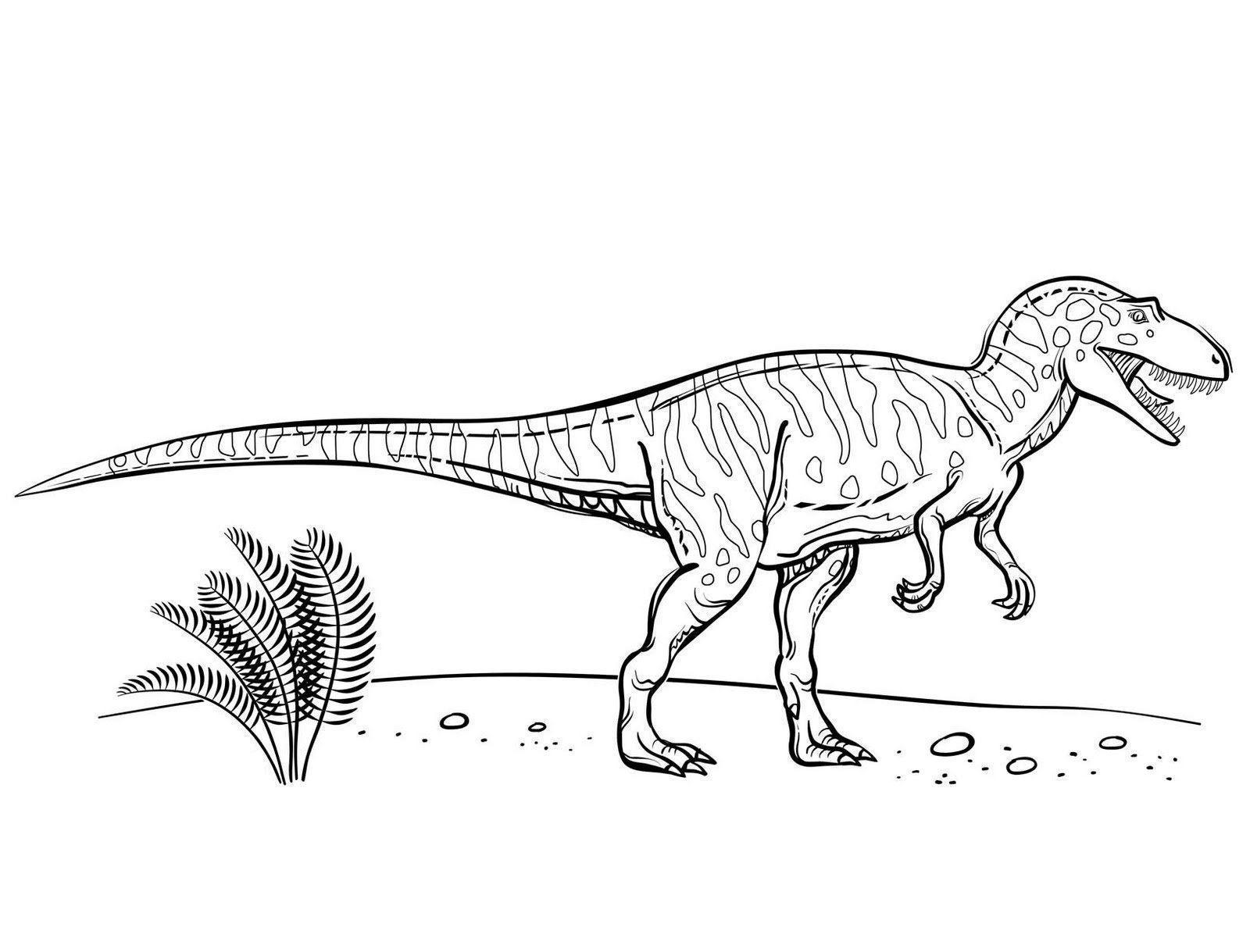 desenhos de dinossauros para educação infantil