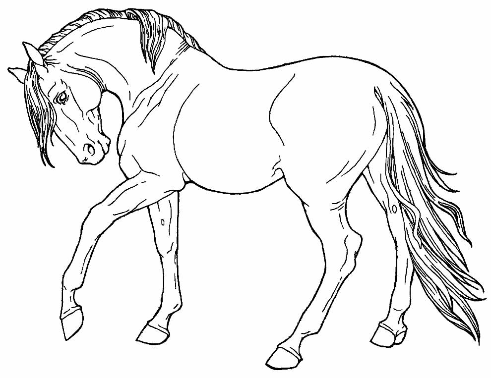 cavalo para pintar