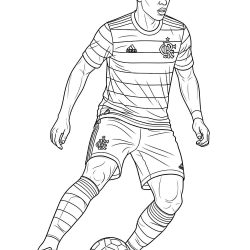 desenho flamengo para pintar
