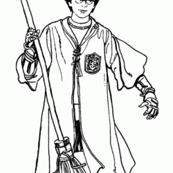 desenho quadribol harry potter