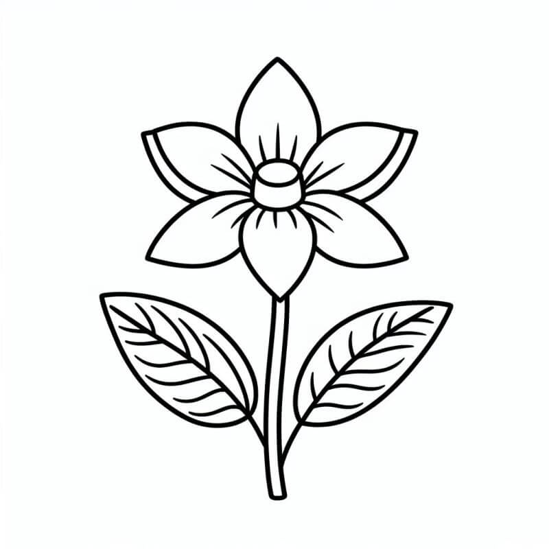 desenho de buquê de flores para colorir