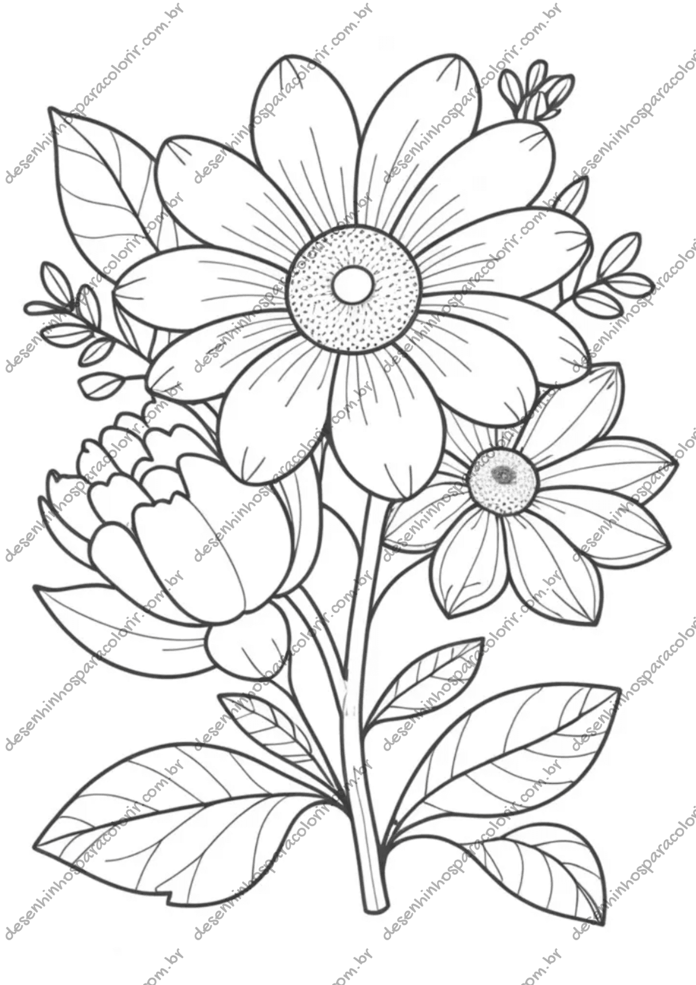 desenho de orquídea para colorir