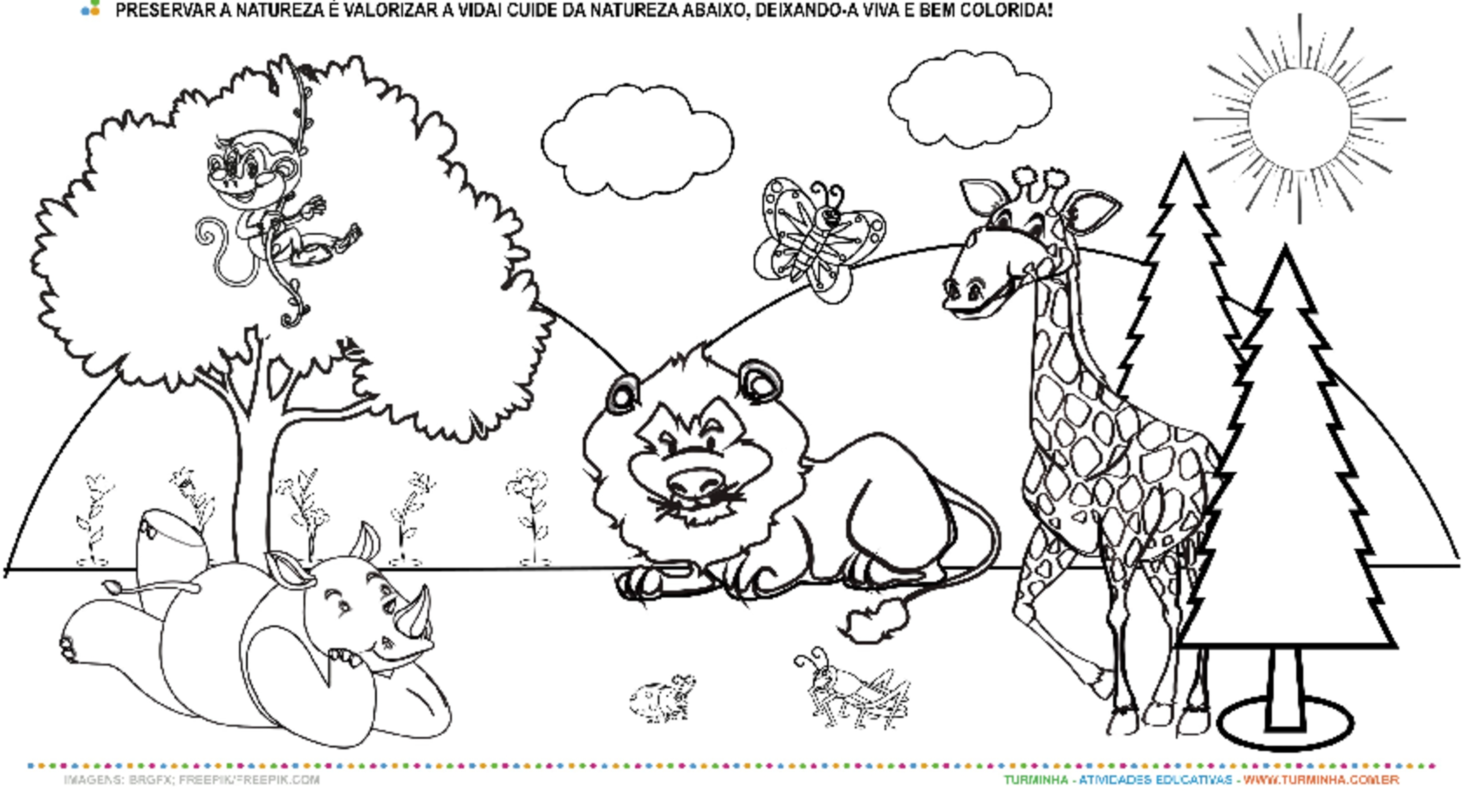 desenhos para colorir temas variados 5 anos