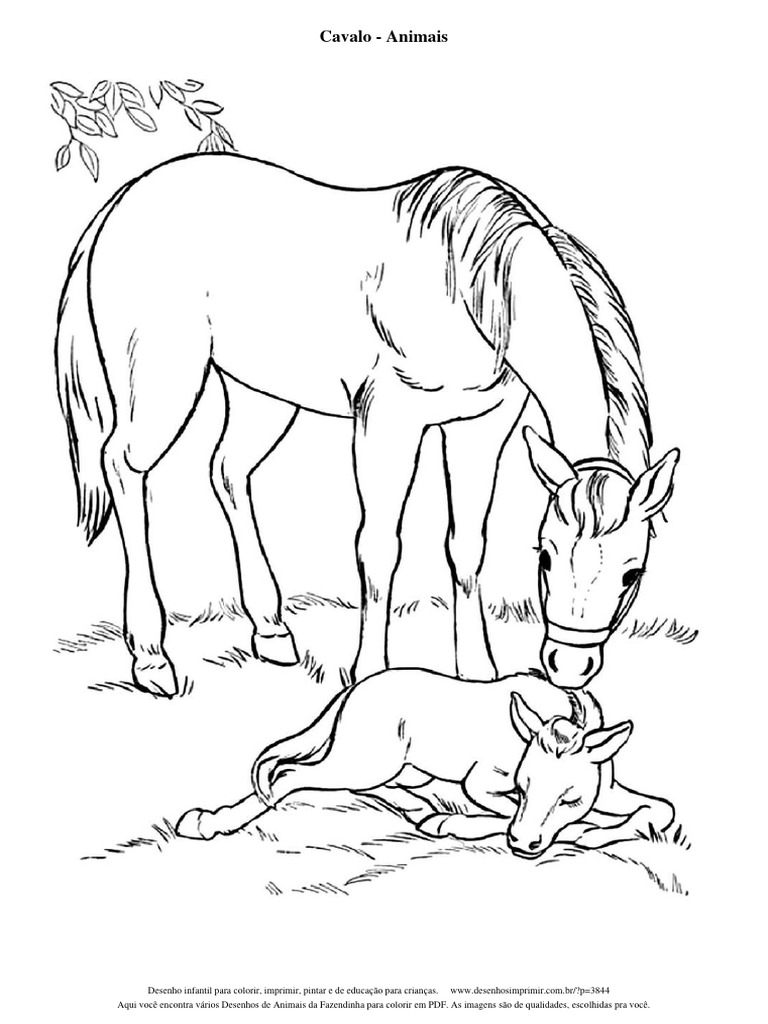 desenhos de celeiro para colorir