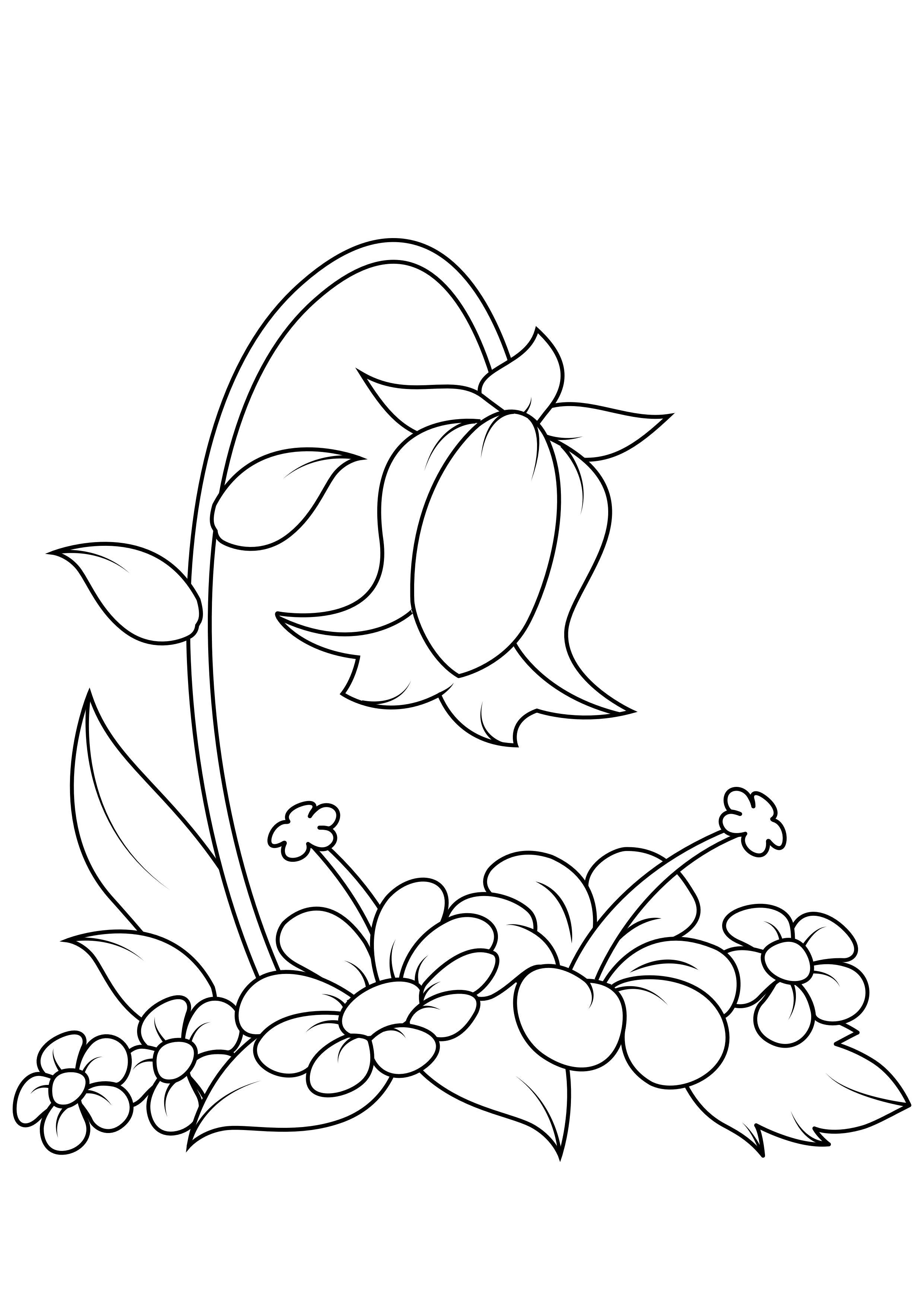 desenho de girassol para colorir