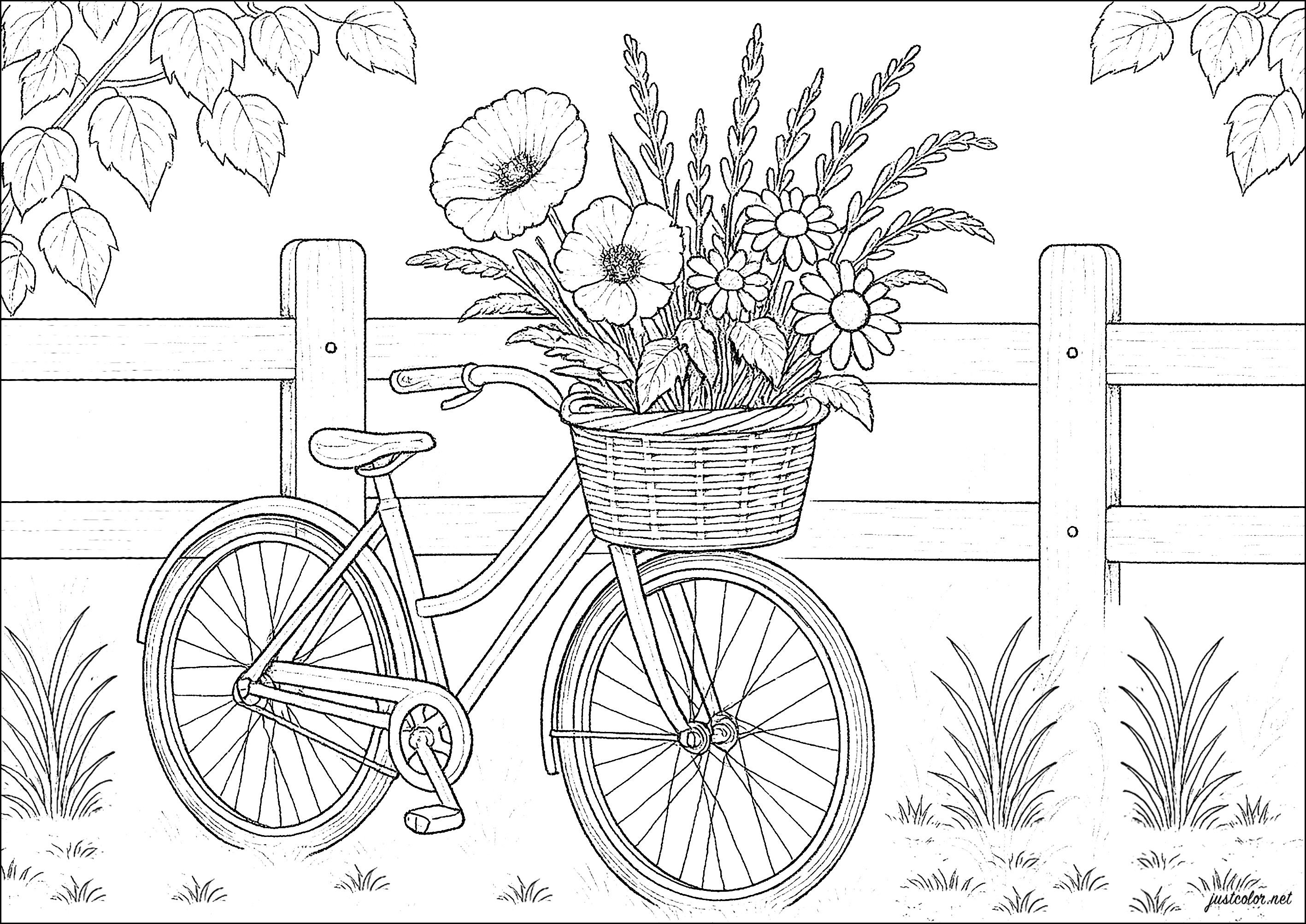 desenho de flor de cerejeira para colorir