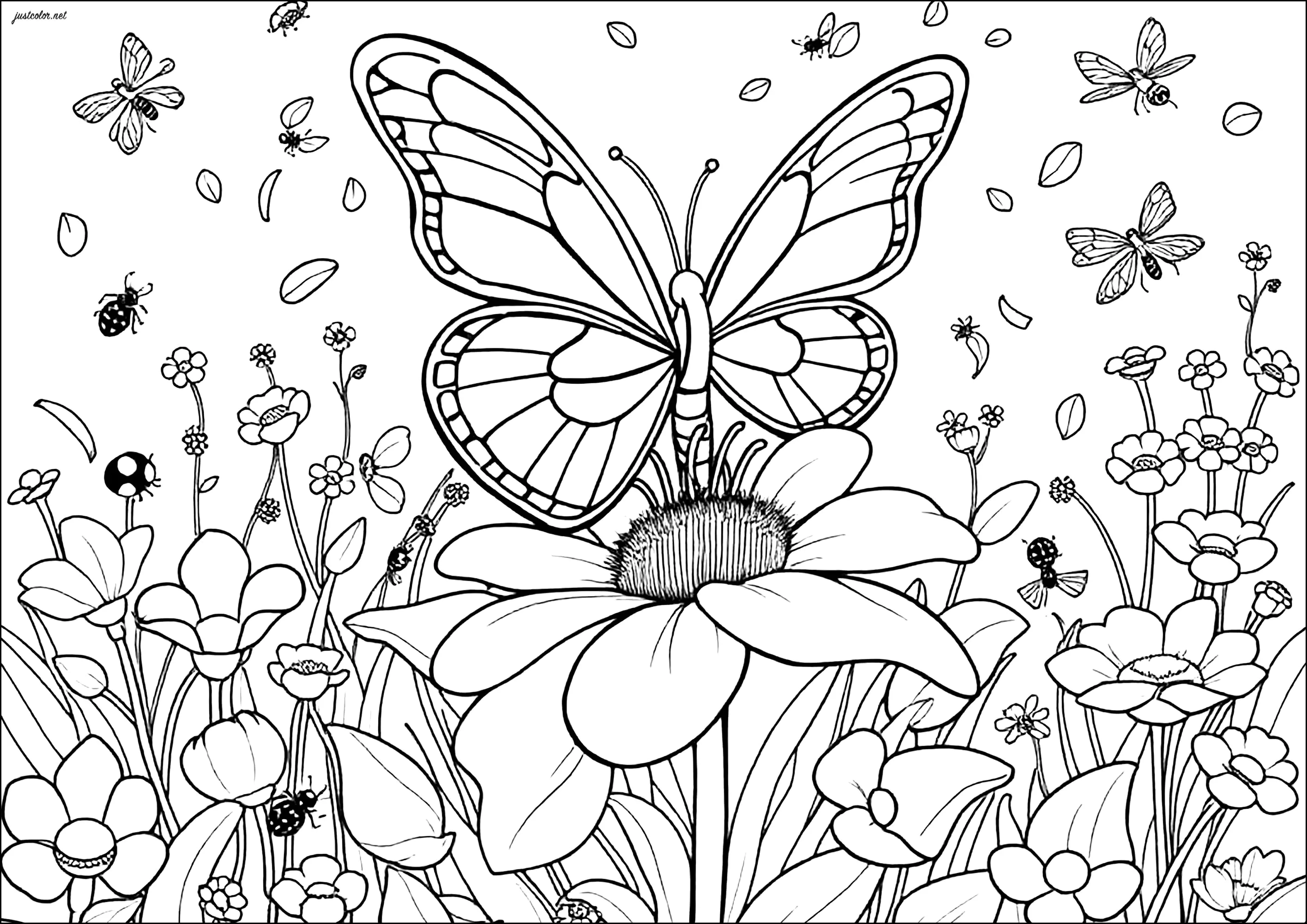 flor com borboleta para colorir