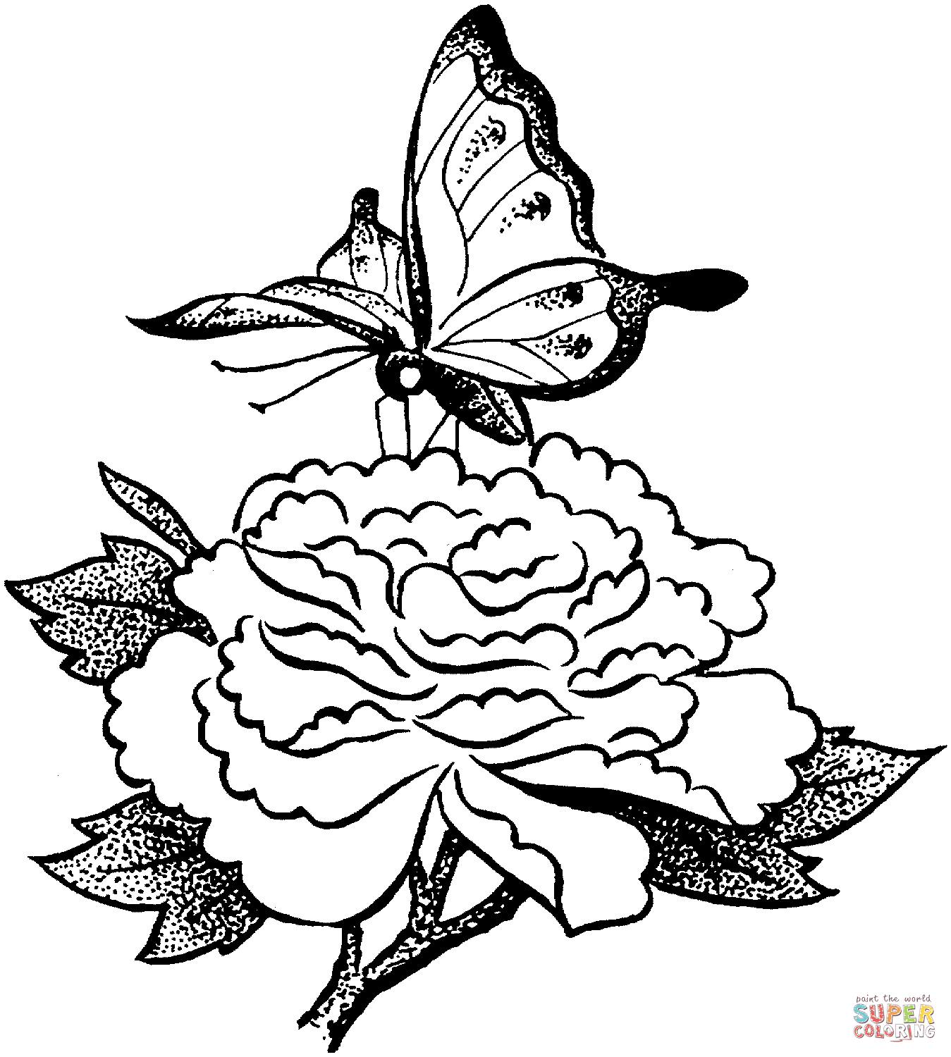 desenho borboleta com asas abertas para colorir