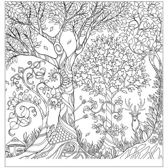 desenhos de fadas para colorir