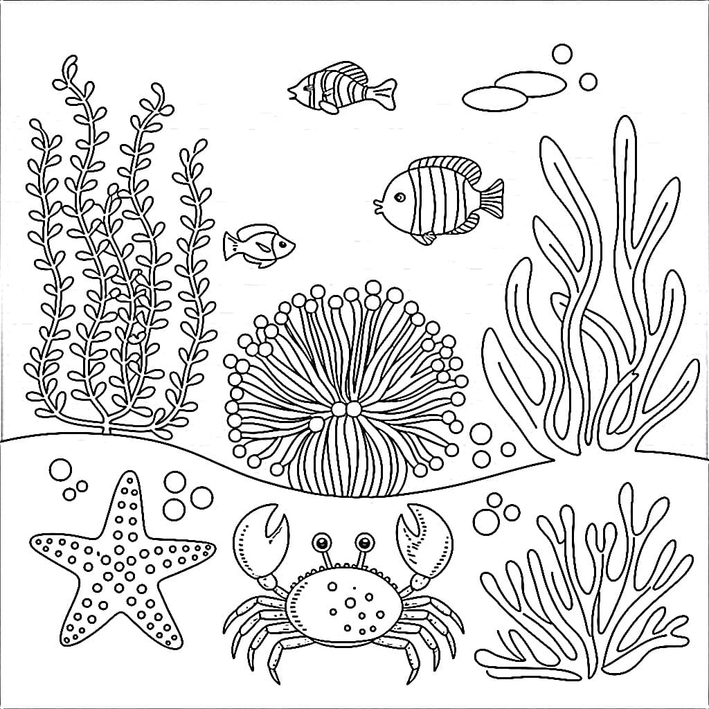 desenhos de peixes e corais para pintar