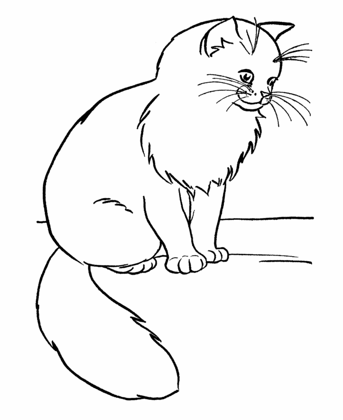 pintar gato galáctico