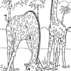 ilustração de girafa para crianças