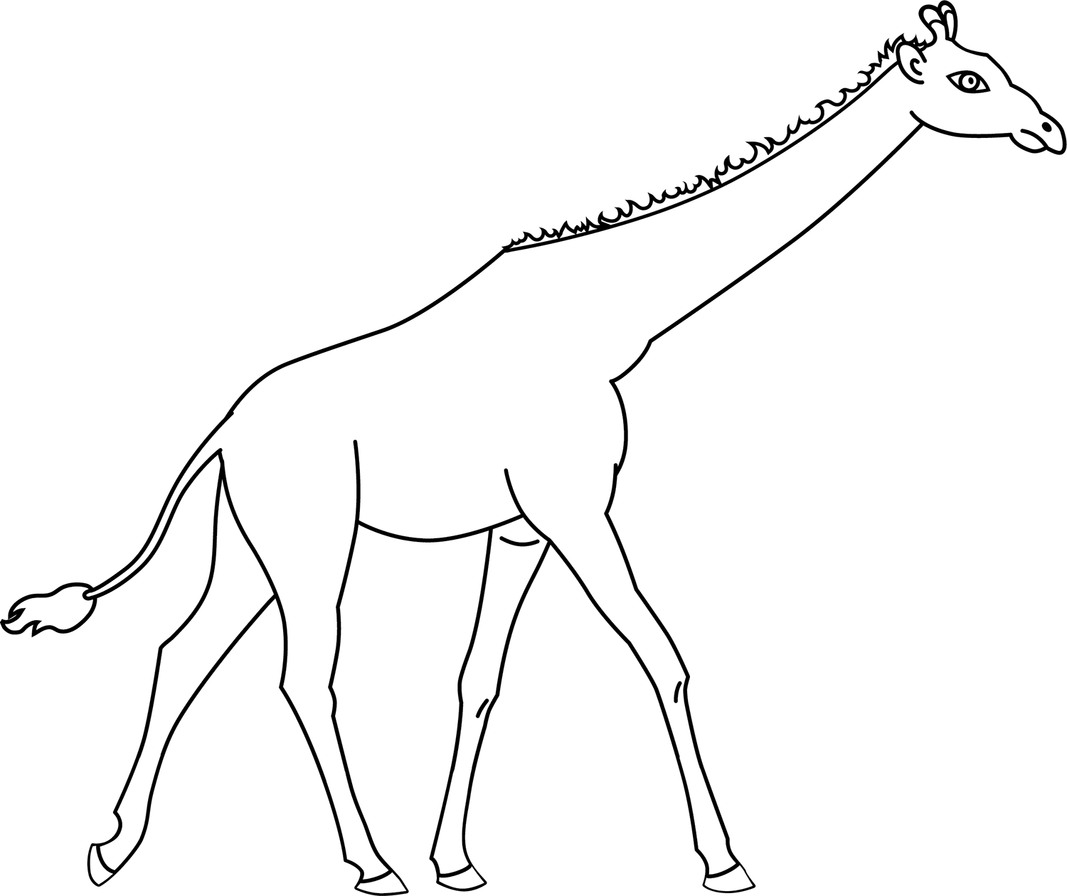 desenho de girafa realista