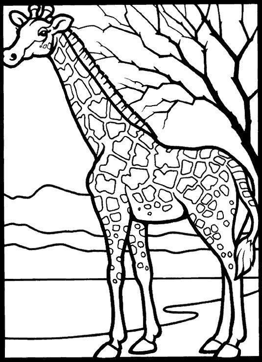 desenho de girafa fofo