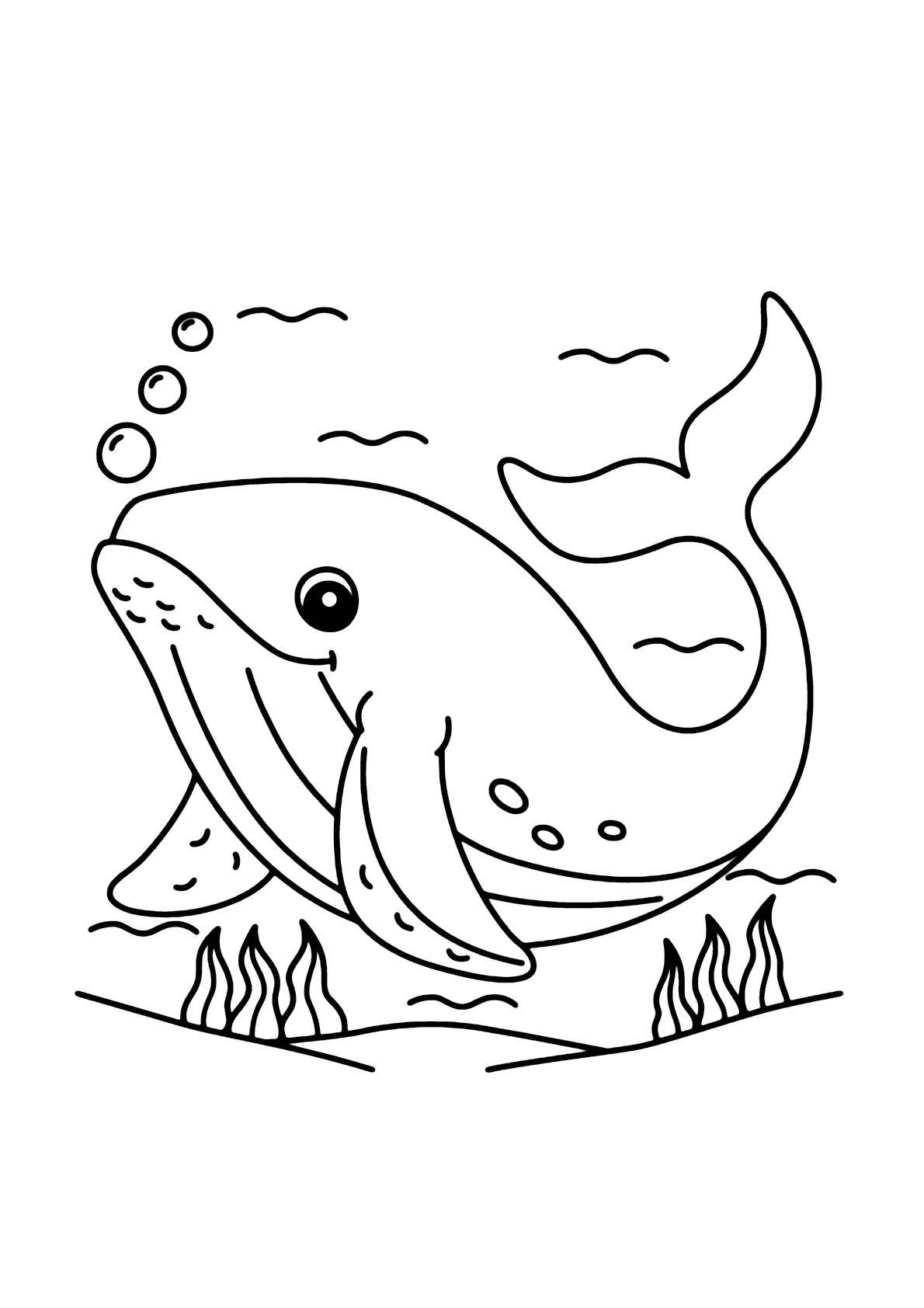 kit de desenhos para colorir grande
