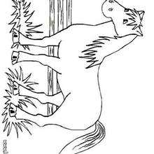 desenhos de parede para colorir
