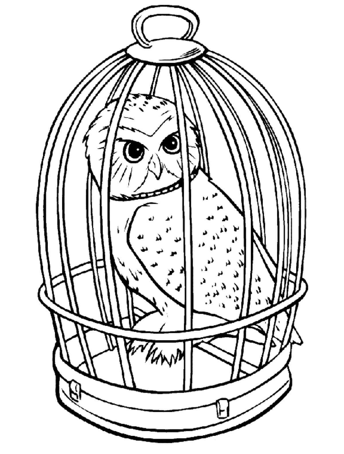 desenhos personagens harry potter para colorir