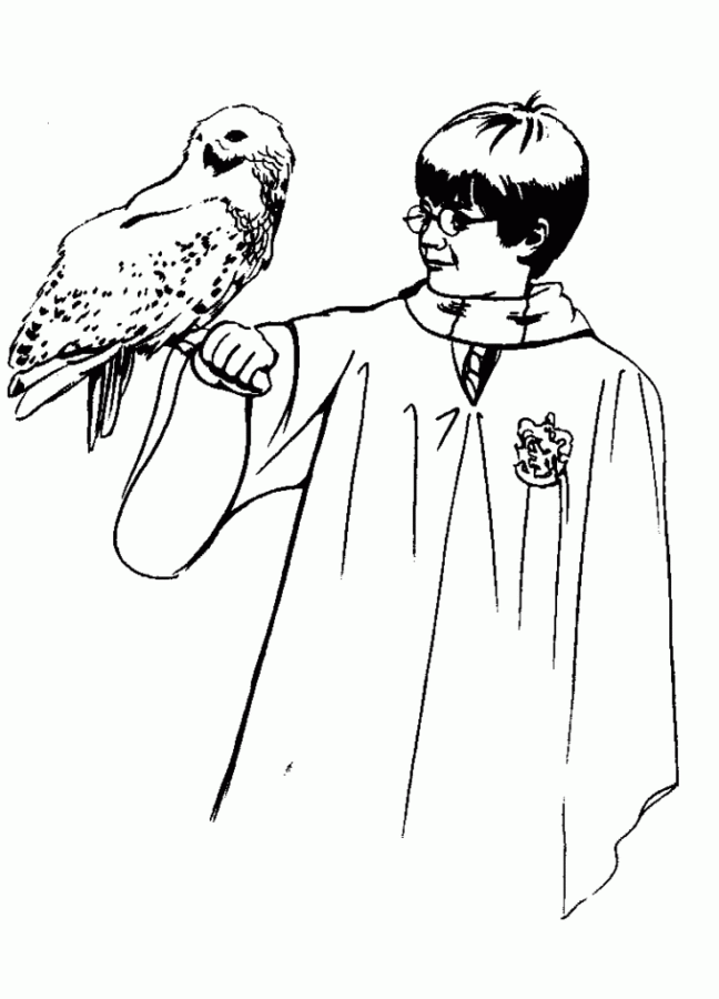 cores casas harry potter para colorir