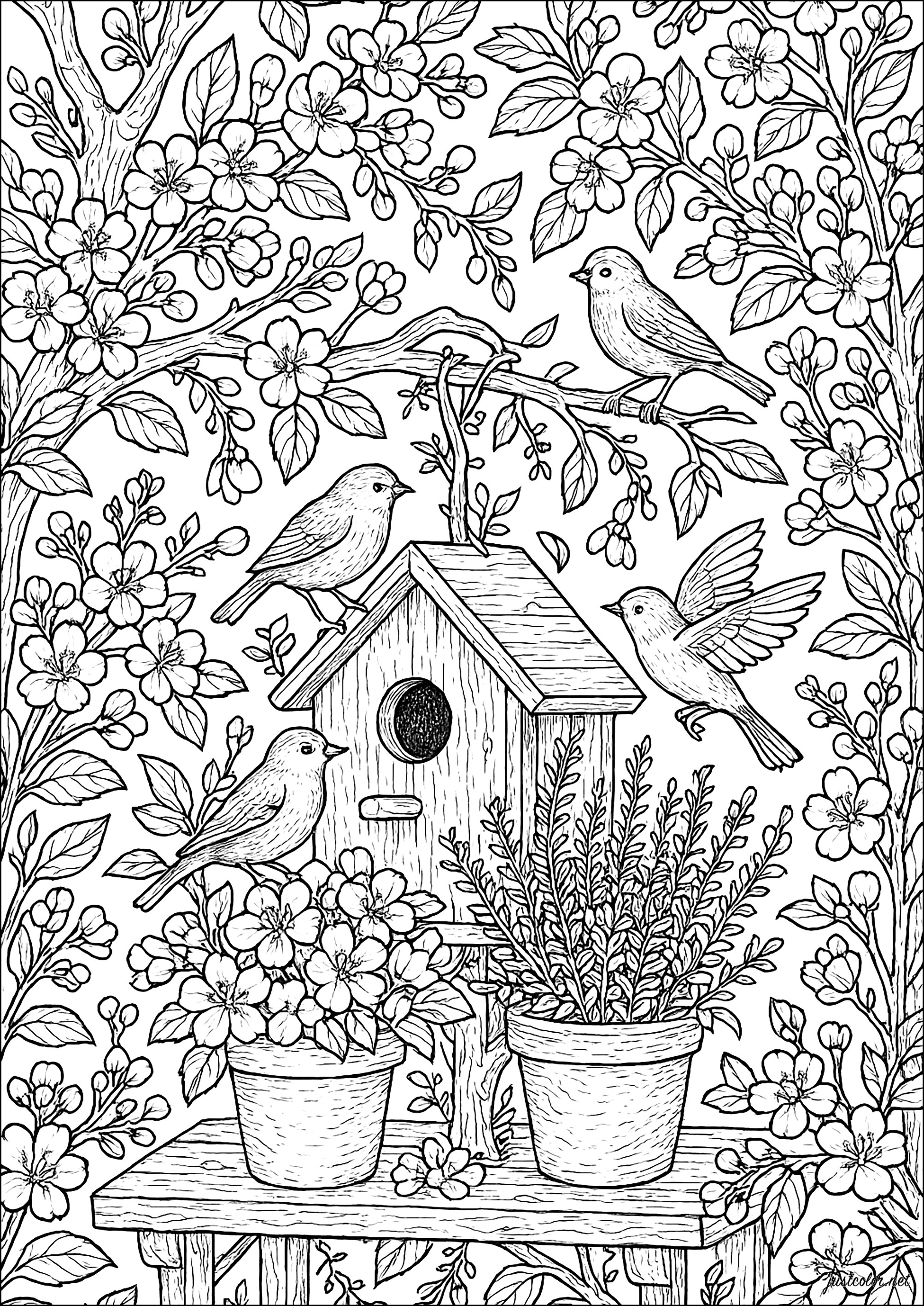 desenho de horta para colorir