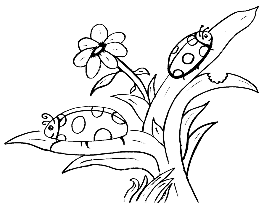 desenho de jardim zen para colorir