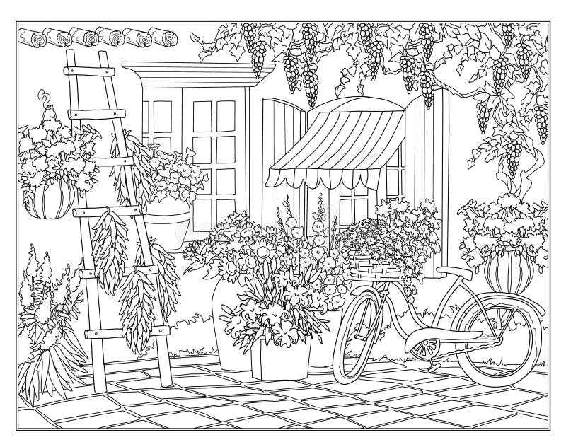 desenhos de flores para colorir adultos