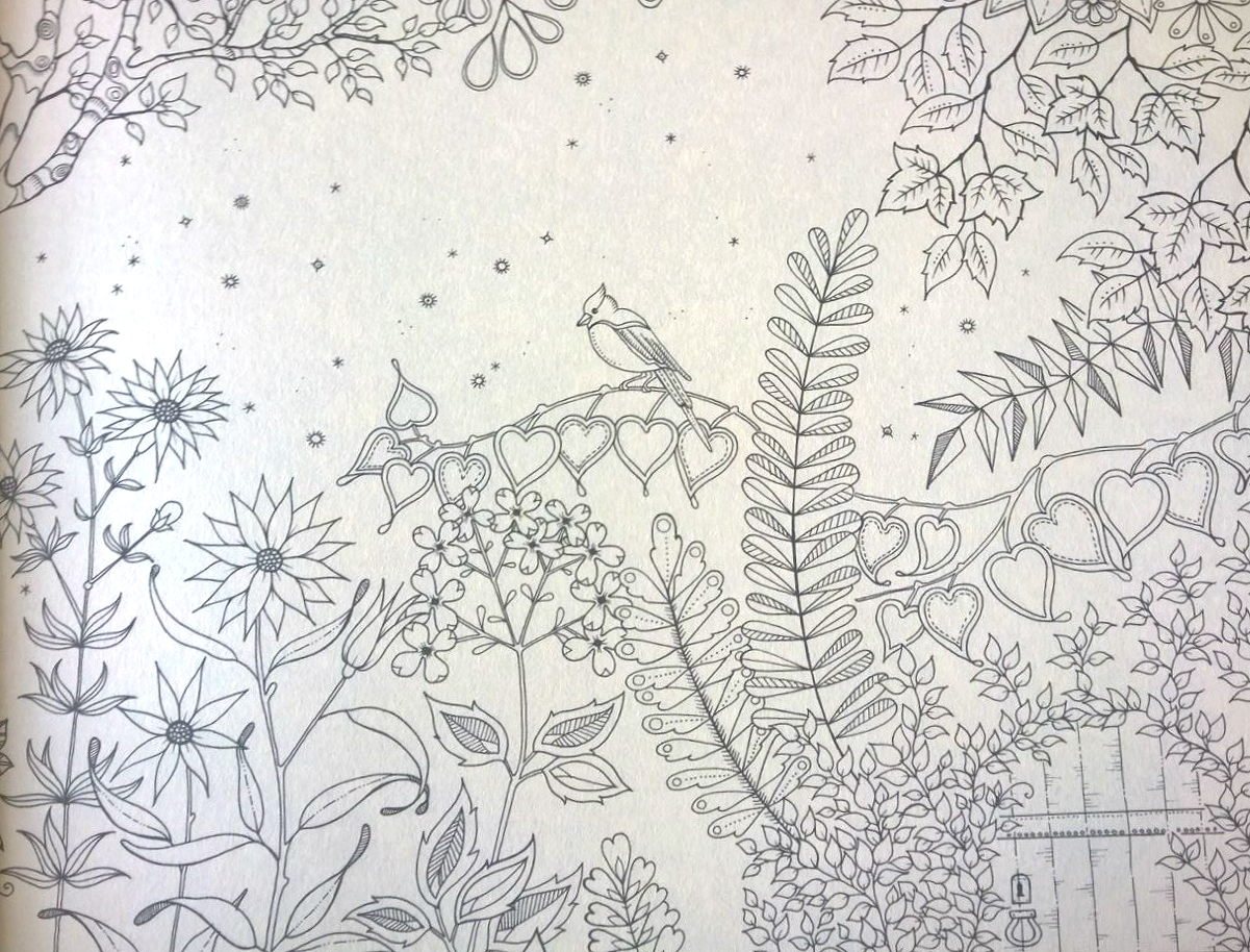 desenhos para colorir jardim secreto pdf