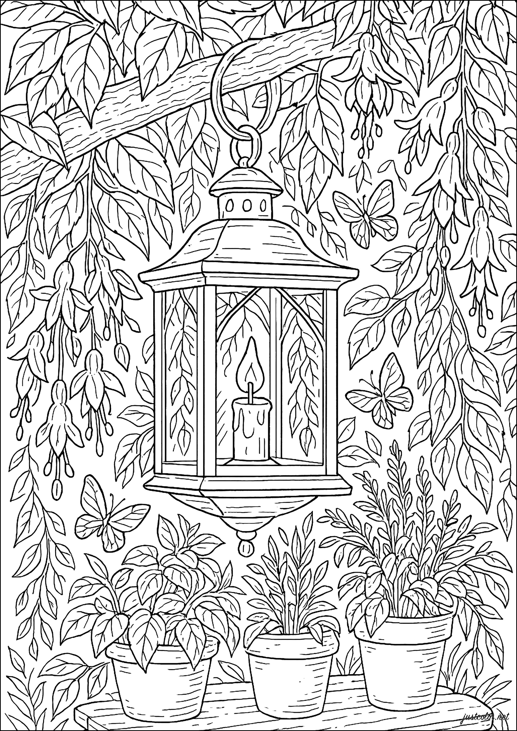 jardim secreto para colorir pinterest