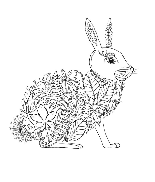 livro de colorir com caça ao tesouro