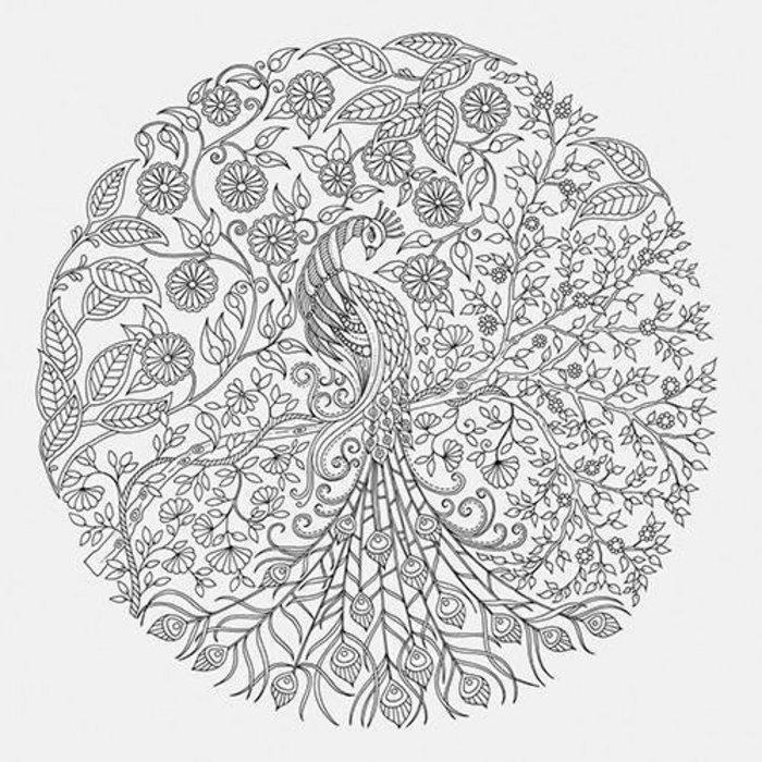 melhores lápis de cor para livros de colorir