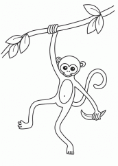atividade de colorir com macacos
