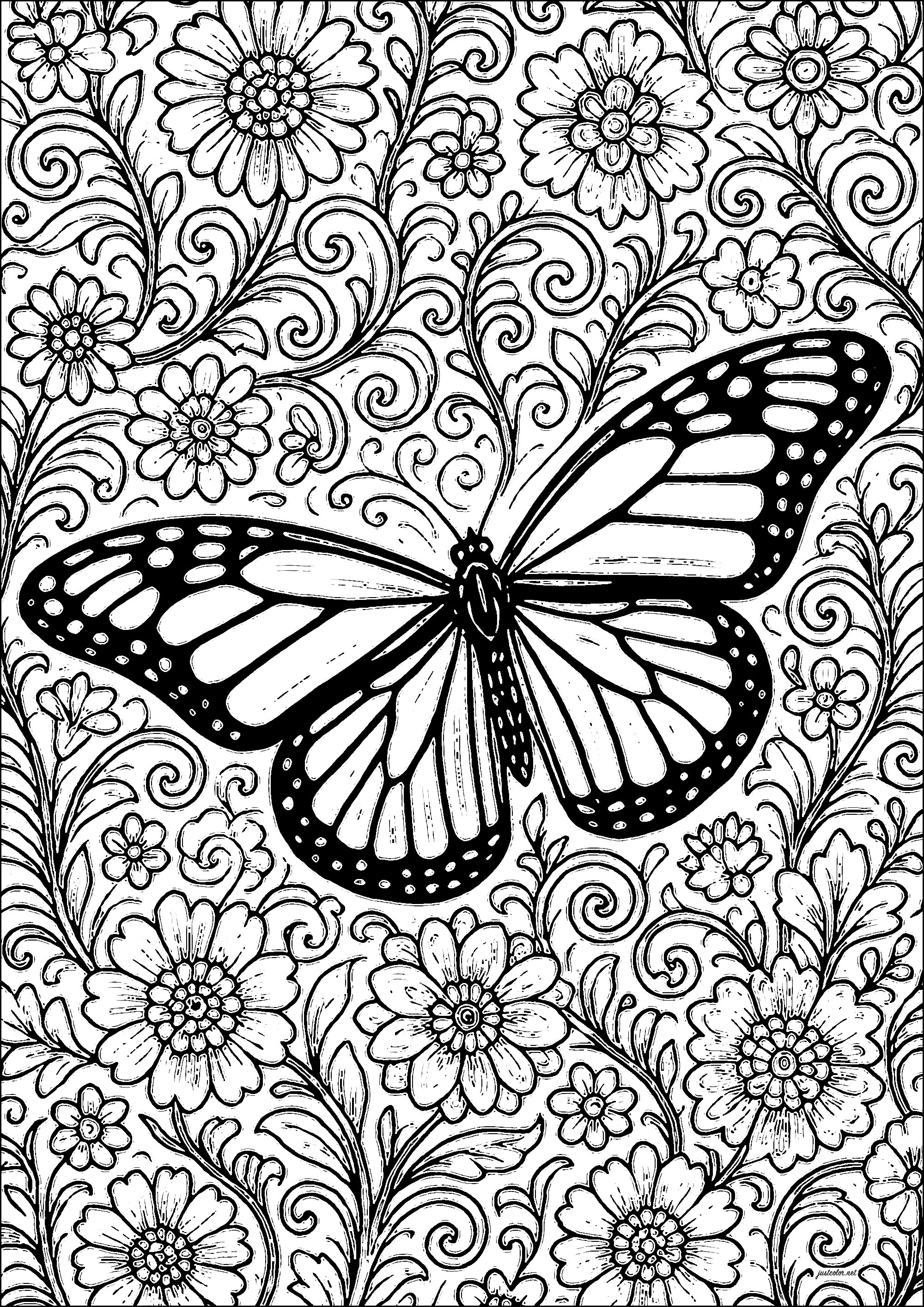colorir borboleta mandala infantil