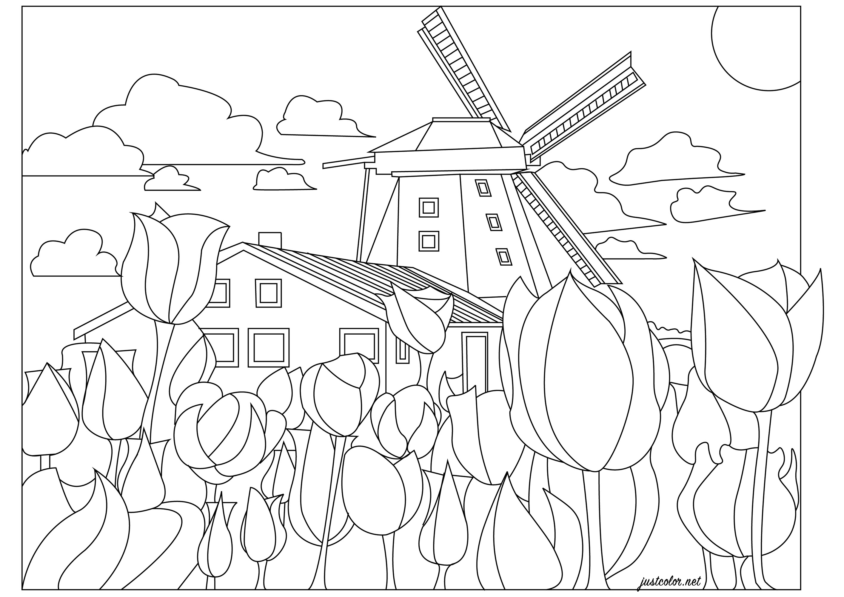 paisagens naturais para colorir