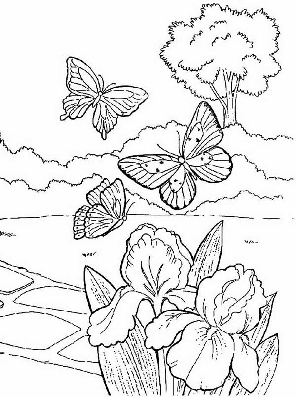 desenho de jardim de primavera para colorir