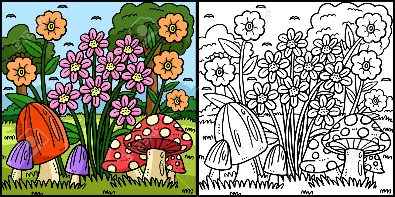 colorir paisagem com arco-íris primavera