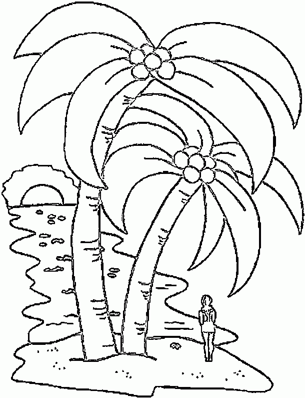 palmeiras logo para colorir