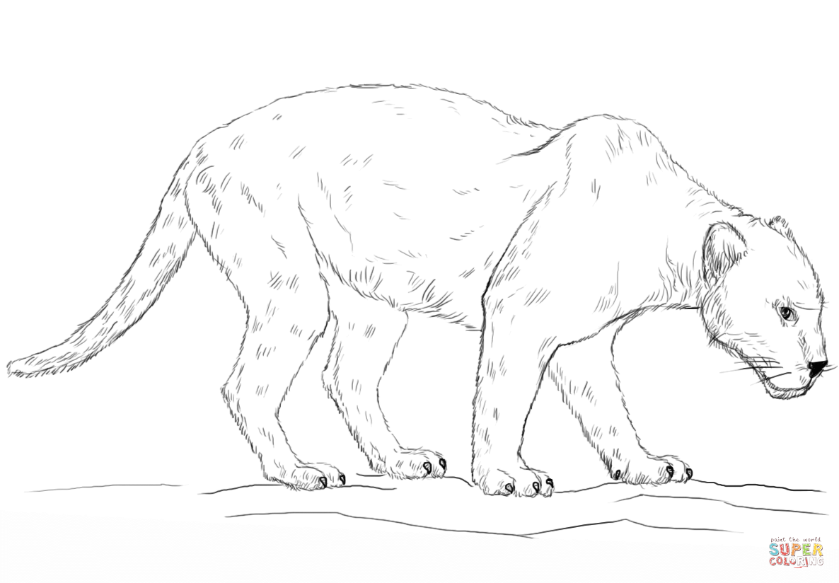 desenho do pantera negra para imprimir