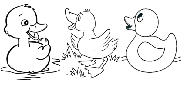 desenho de patinho com flor para colorir