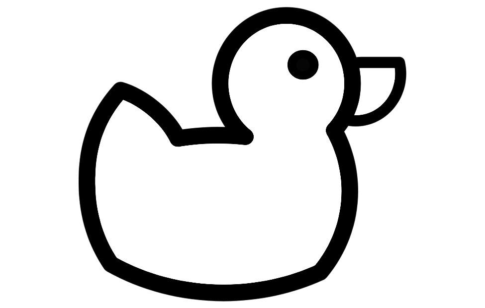 desenho de patinho realista para colorir