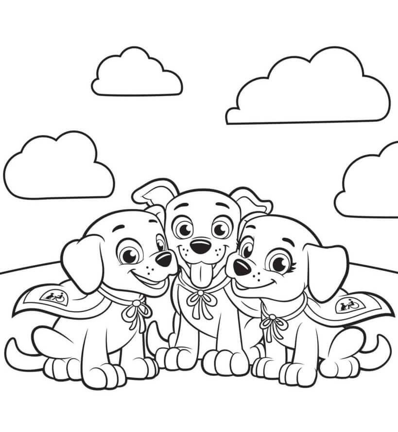 desenhos do paw patrol para colorir