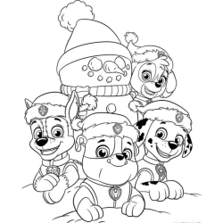 Desenhos da Skye Super Filhote para pintar
