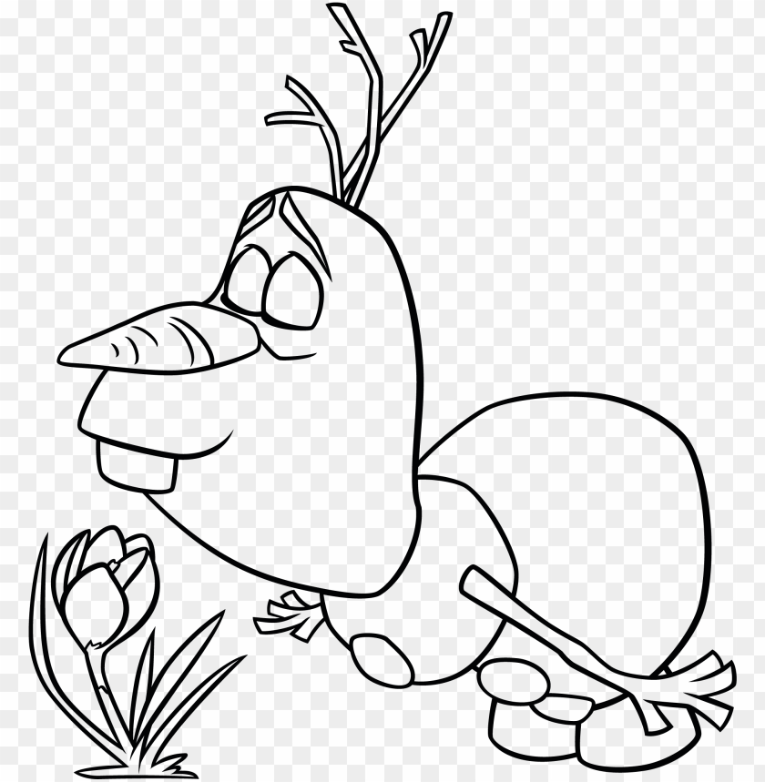 desenhos educativos png para imprimir