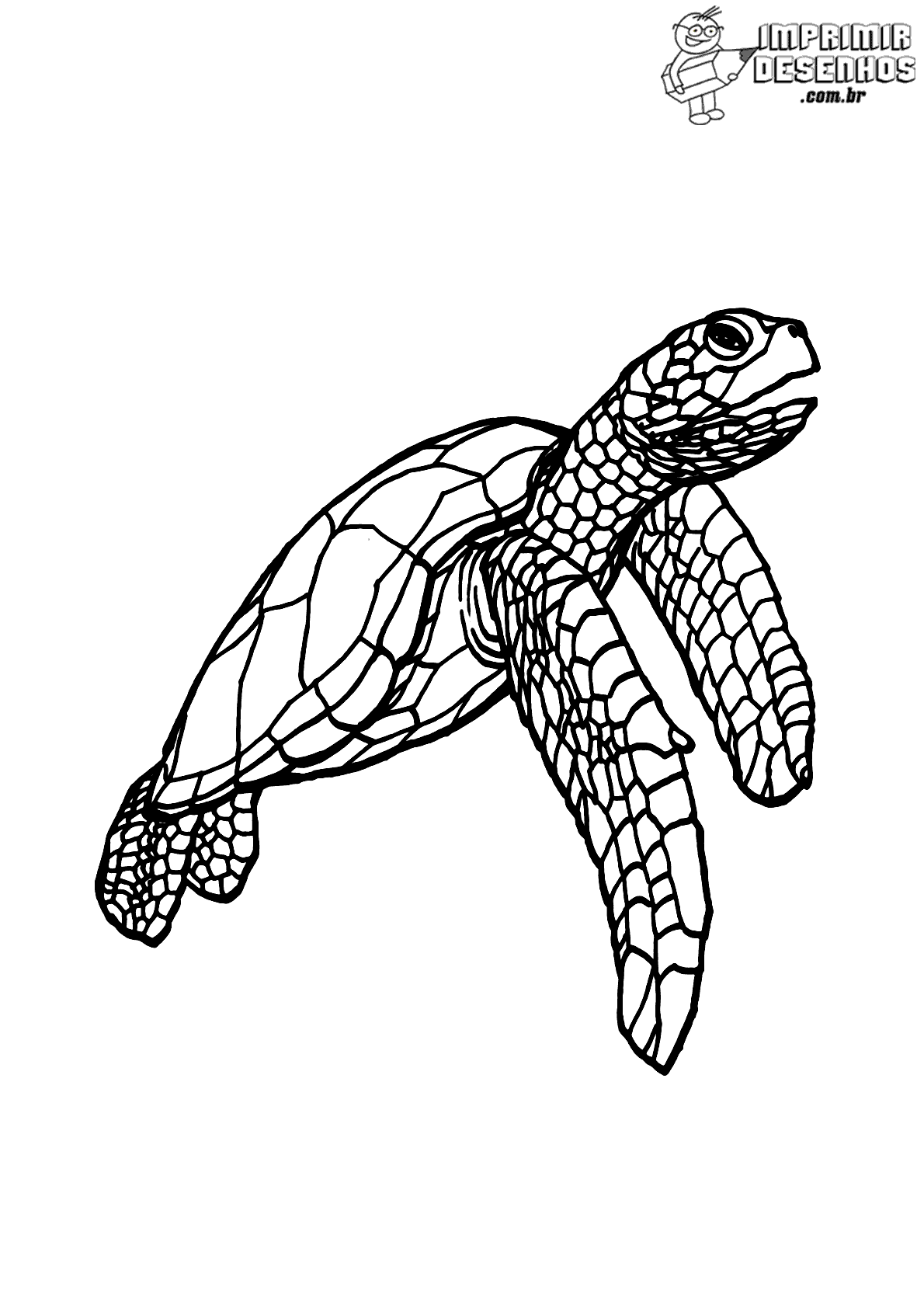 desenho para colorir realista