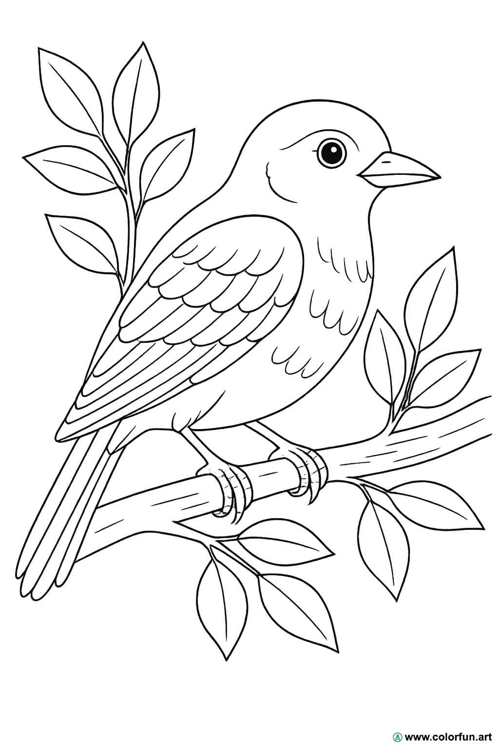 desenho para colorir realista